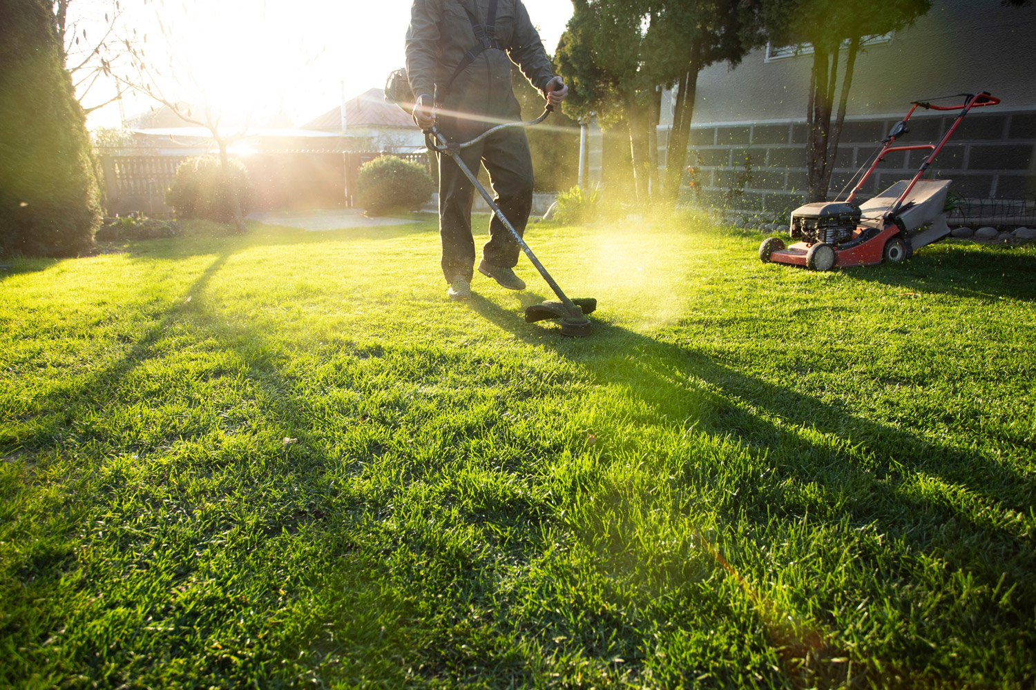 Lawn Maintenance Cutting Grass