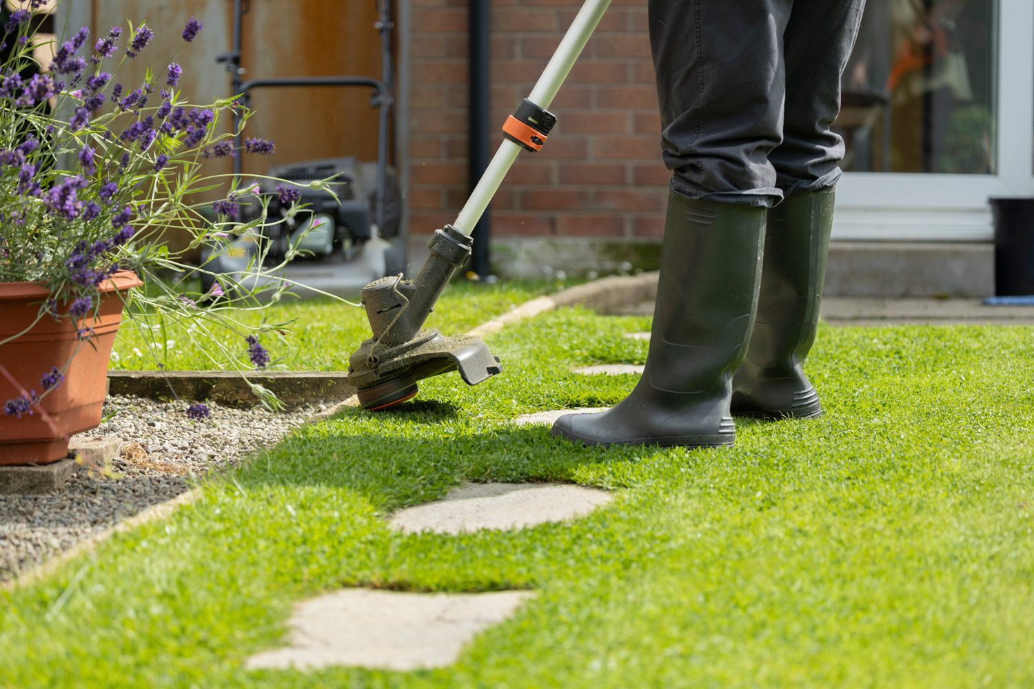 Crew cutting grass in backyard