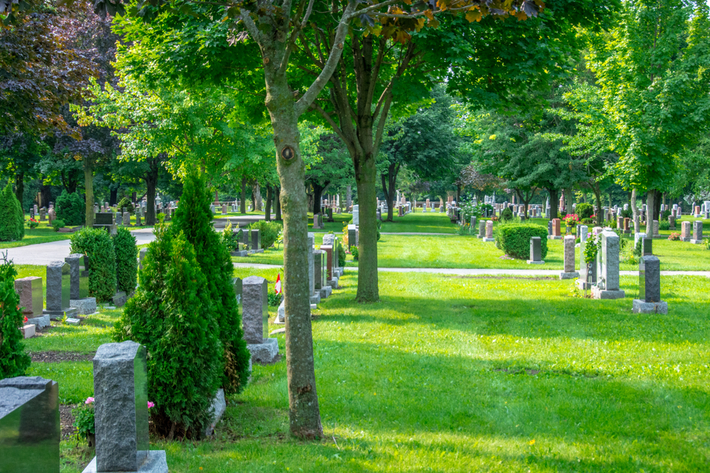cemetery with trees, shrubs, and well-maintained grass