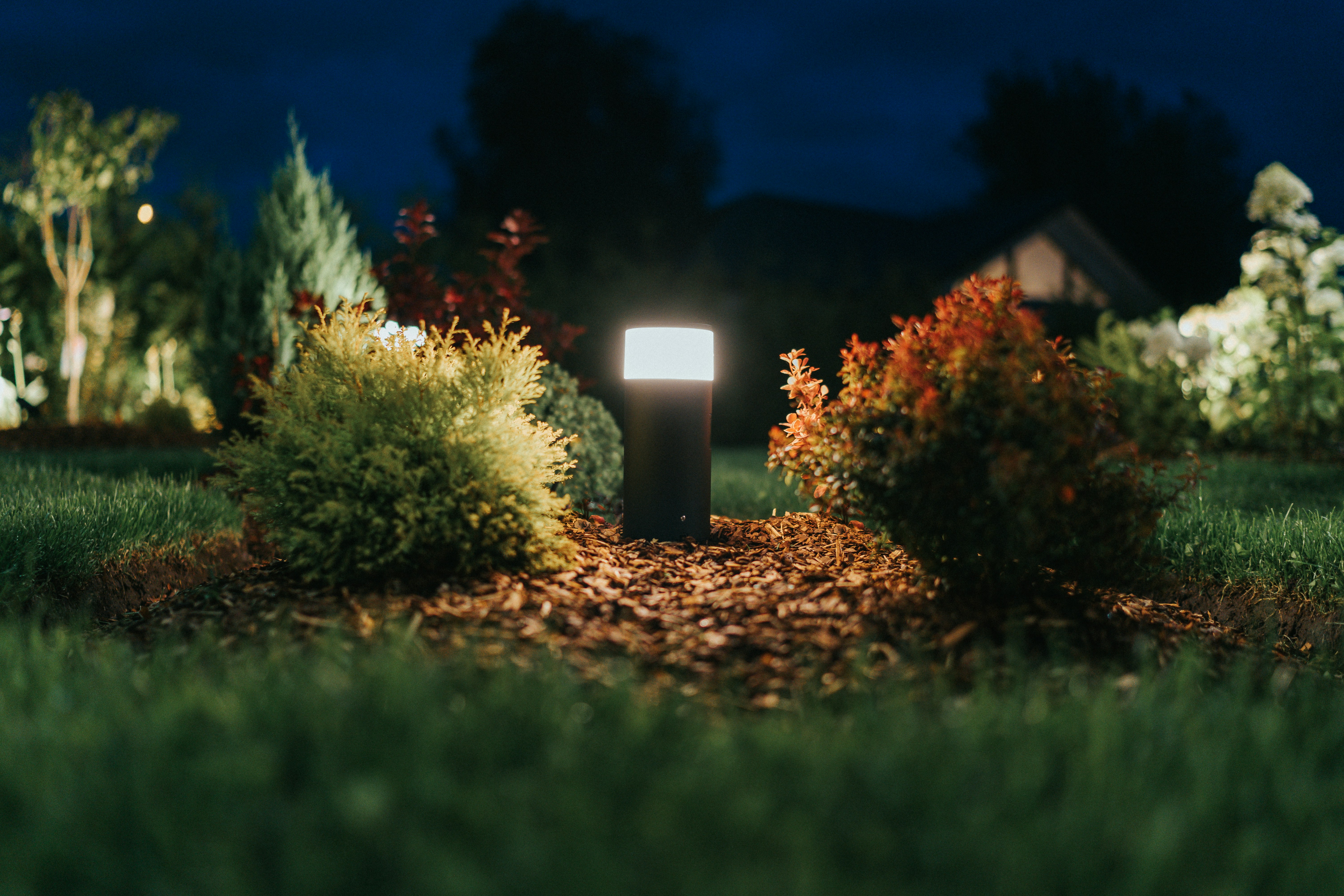Retail Shop Landscape Lighting