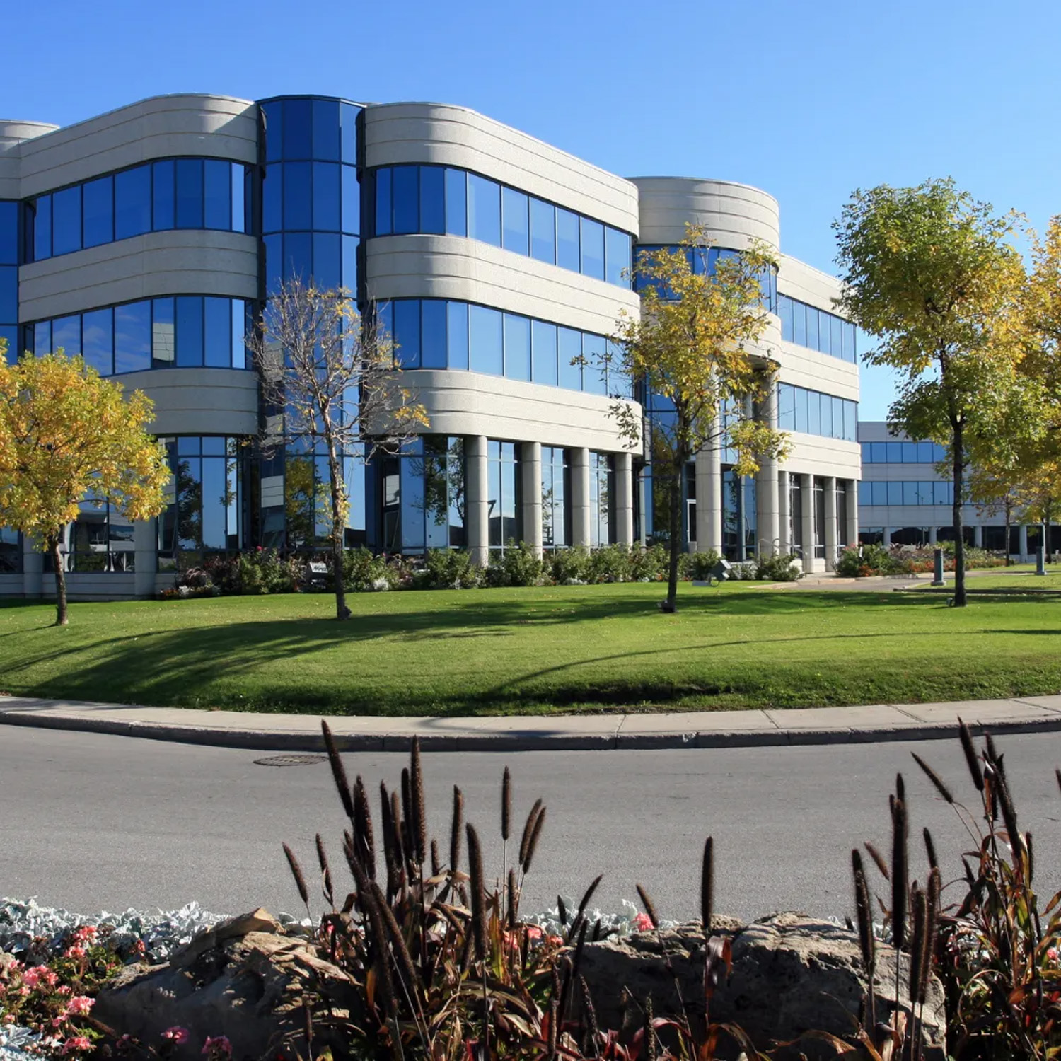 houston commercial landscaping for offices