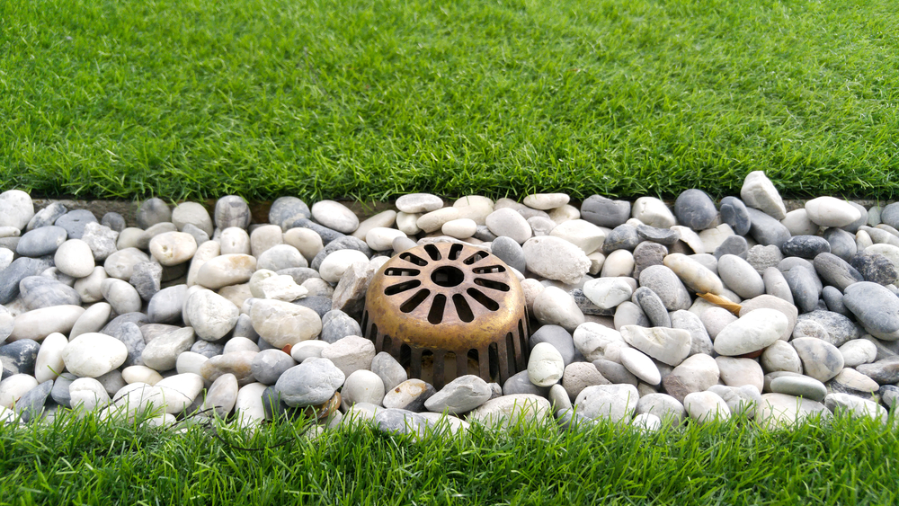 Garden drain