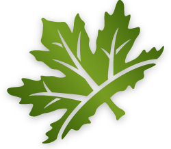 New Leaf Logo