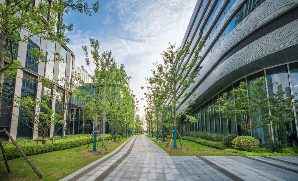 Landscaping for Retail Shops in Houston