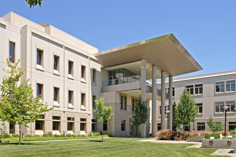 Houston landscape design