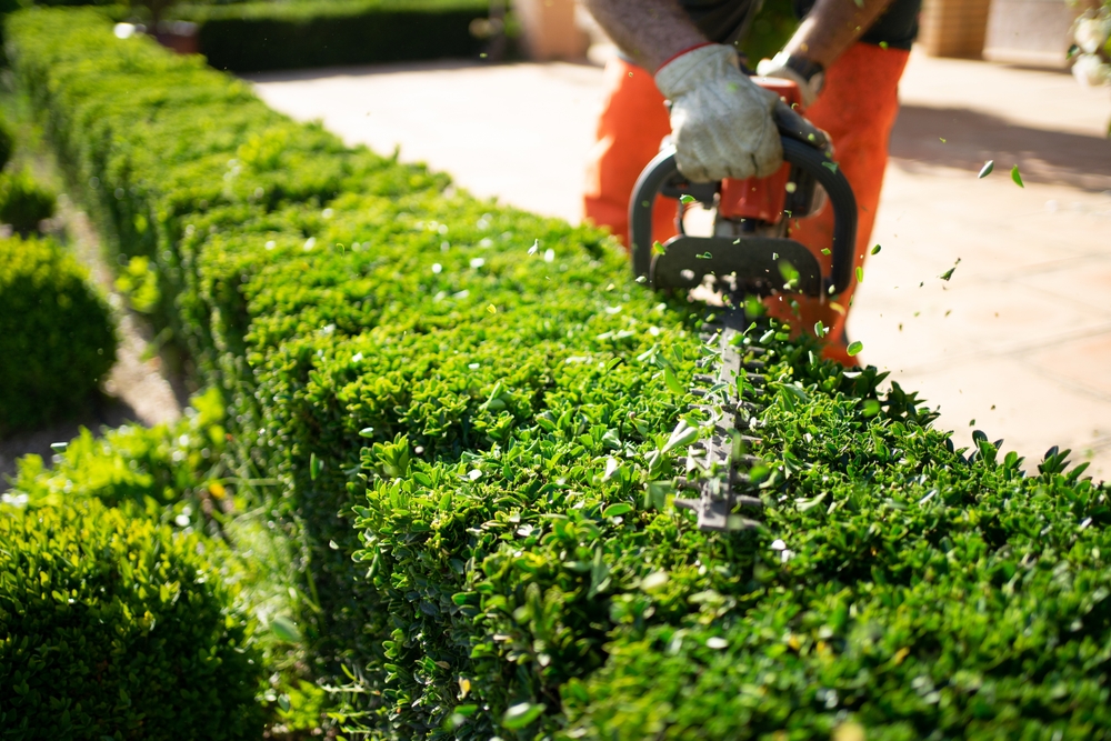 Landscape Maintenance, lawn maintenance