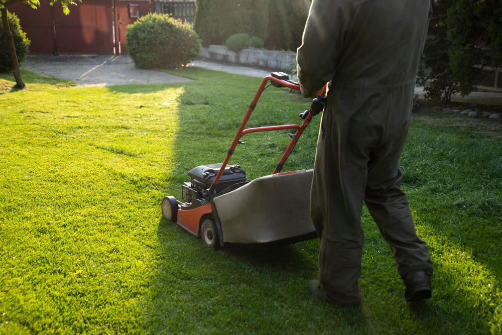Landscape Maintenance, lawn maintenance
