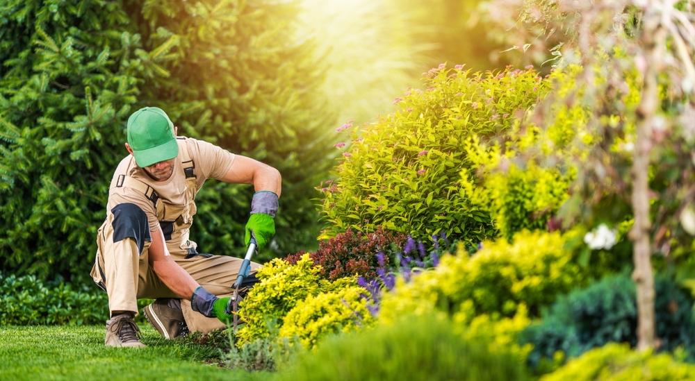 Landscape Maintenance, lawn maintenance