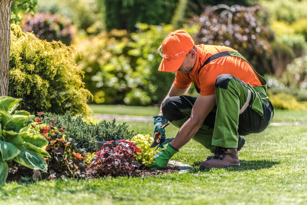 Houston landscape repair