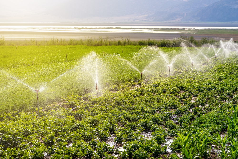 Sprinkler Maintenance and Installation