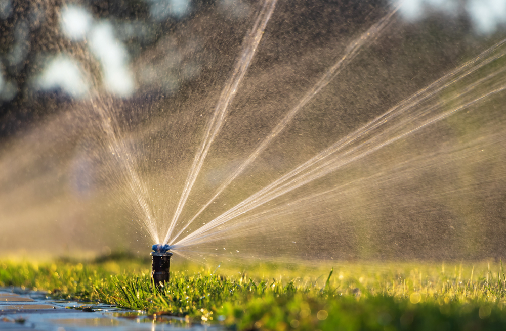 Sprinkler Maintenance and Installation
