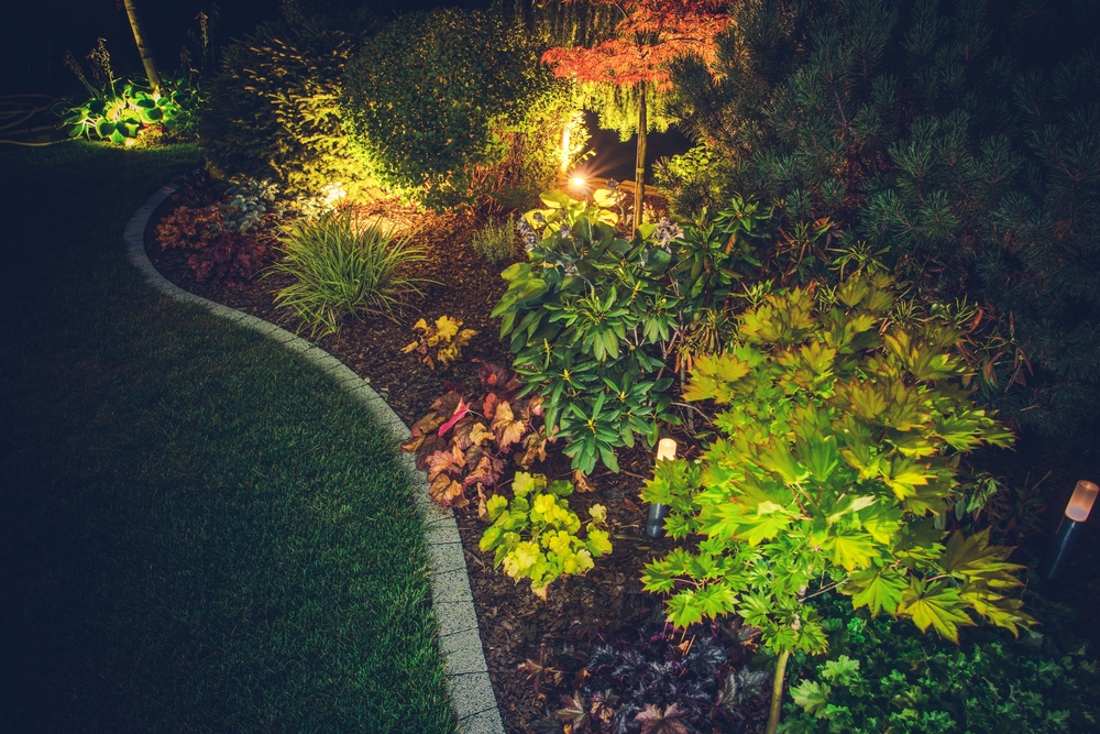 Houston landscape repair