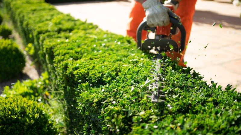 New Leaf Services Restaurant Landscape Maintenance