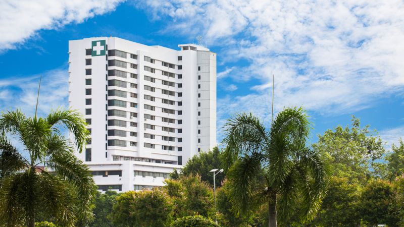 New Leaf Services Hospital Tree Care
