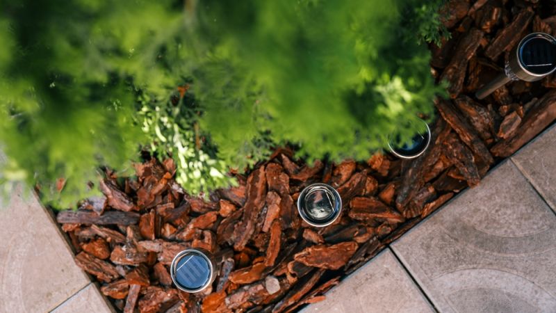 New Leaf Services Multifamily Landscape Lighting