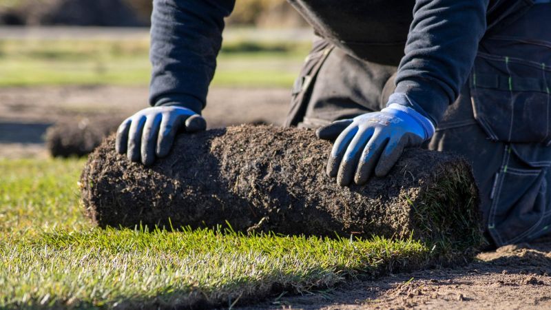 New Leaf Services restaurant Lawn Maintenance