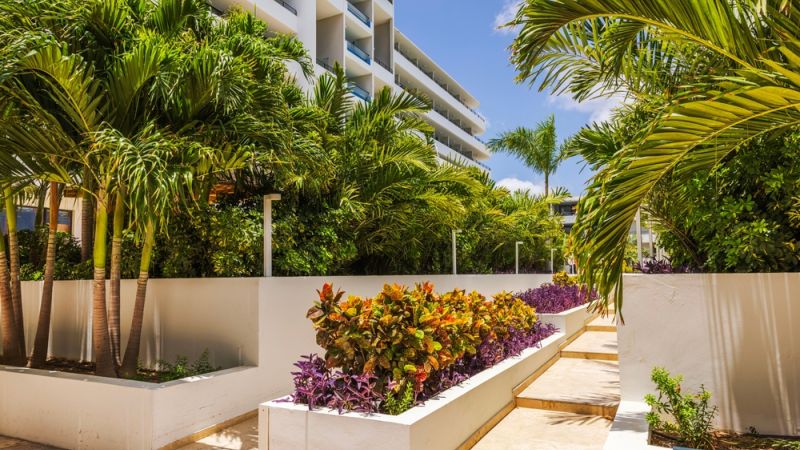 New Leaf Services Hotel Tree Care