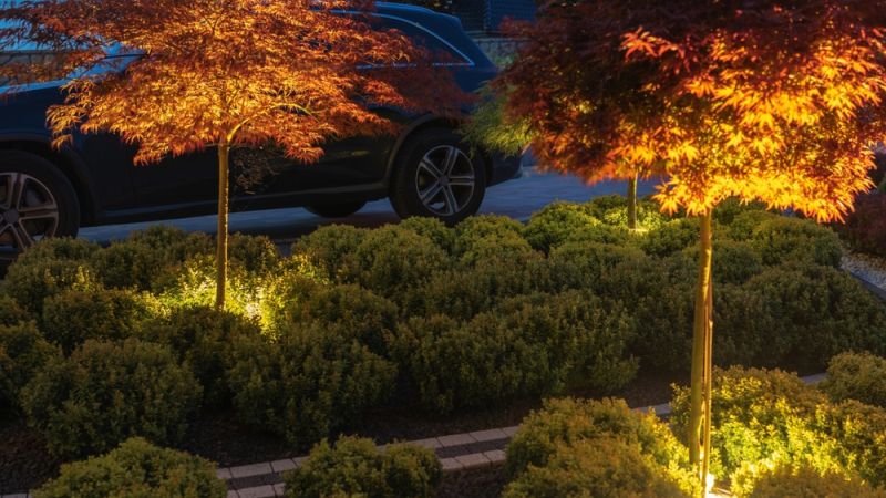 New Leaf Services Industrial Building and Warehouse Landscape Lighting