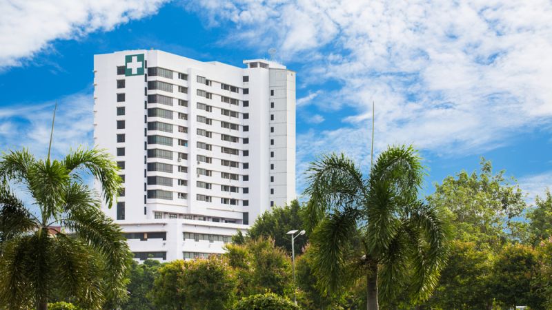 New Leaf Services Hospital Tree Care