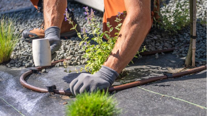 New-Leaf Services Multifamily Building Irrigation