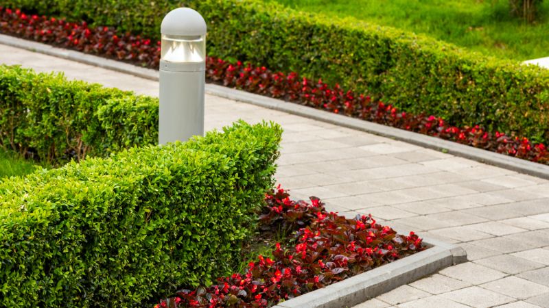 Hospital Landscape Lighting