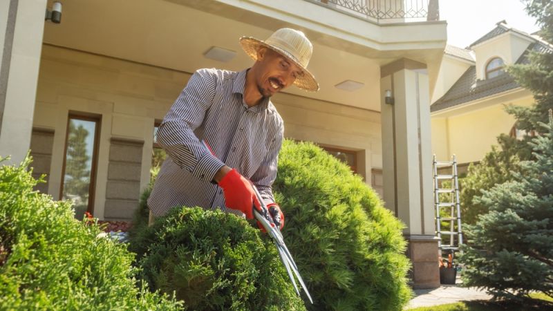 New Leaf Services Multifamily Landscape Maintenance