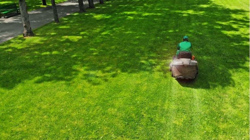 New Leaf Services Assisted Living Facility Lawn Maintenance