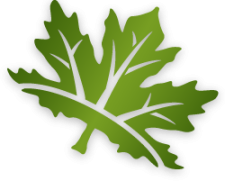New Leaf Logo