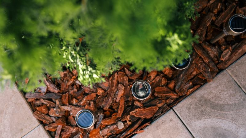 New Leaf Services Multifamily Landscape Lighting