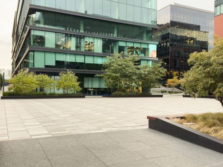 Office Building Landscaping in Houston