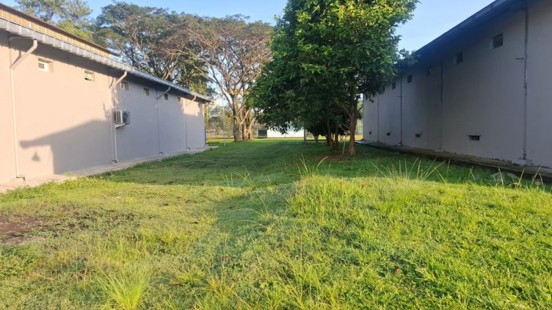 New Leaf Services Industrial Building and Warehouse Tree Care Landscaping