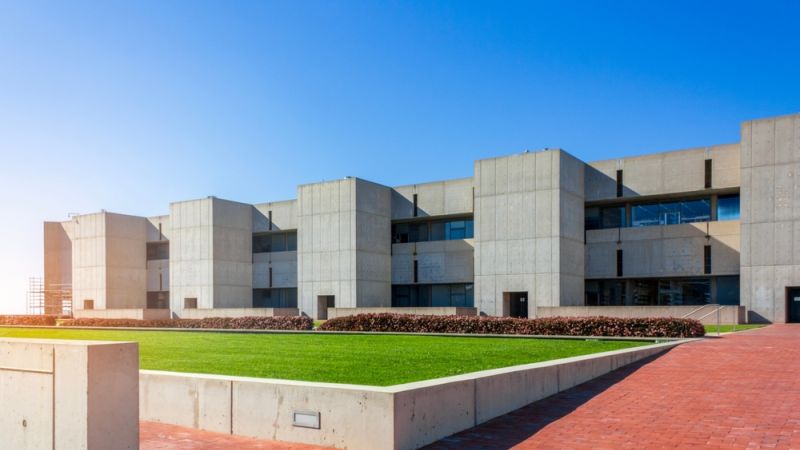 New Leaf Services Industrial Building and Warehouse Landscape Design and Installation