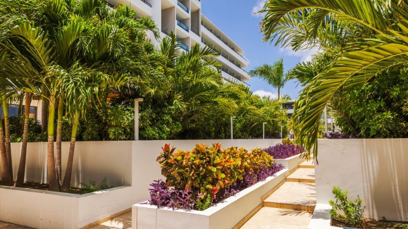 New Leaf Services Hotel Tree Care