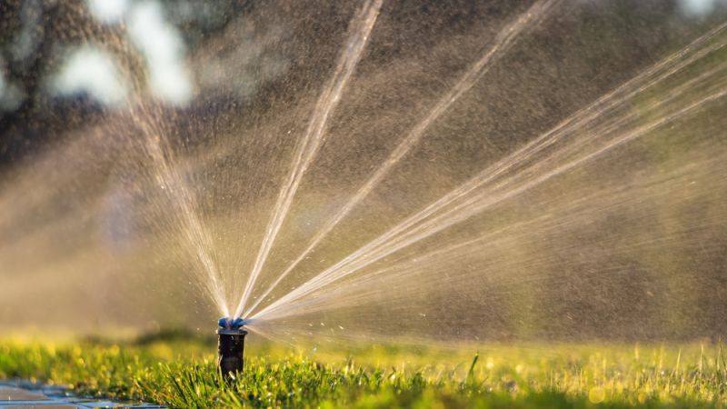 New Leaf Services Bank Irrigation