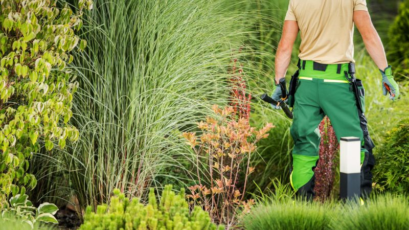 New Leaf Services Houston Bank Landscape Maintenance