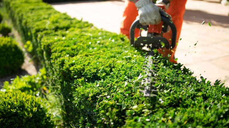 New Leaf Services Restaurant Landscape Maintenance