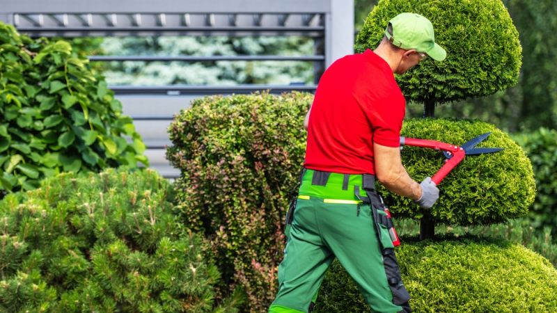 New Leaf Services Hotel Landscape Maintenance