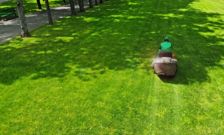 Commercial landscaping lawn mowing
